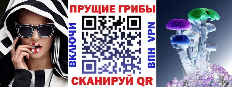 Псилоцибиновые грибы Psilocybe  Нерюнгри 