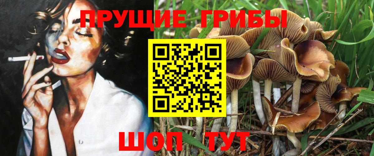 Галлюциногенные грибы прущие грибы Нерюнгри