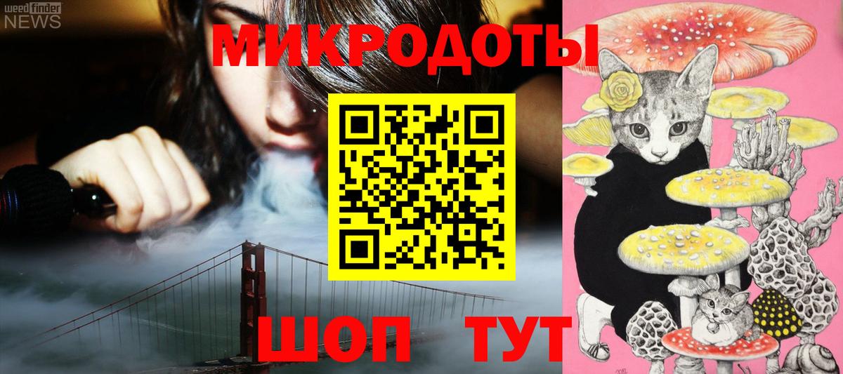 Галлюциногенные грибы Psilocybe  Вход с VPN  Нерюнгри 