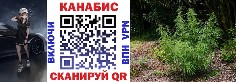 Шишки марихуана Bruce Banner Нерюнгри